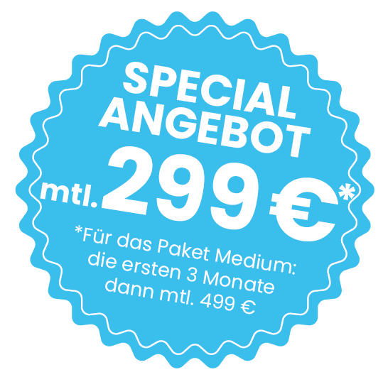 stoerer 299